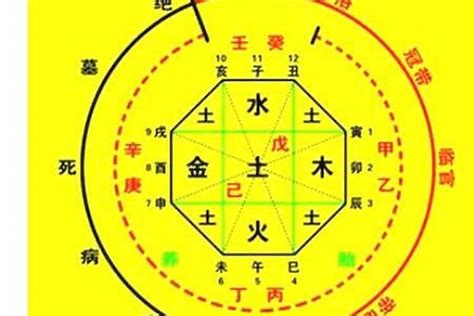 喜木命|生辰八字算命、五行喜用神查询（免费测算）